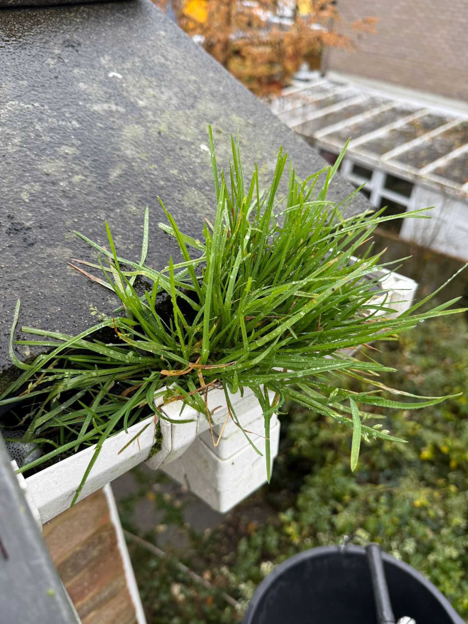 Blocked gutter downpipe in Whetstone